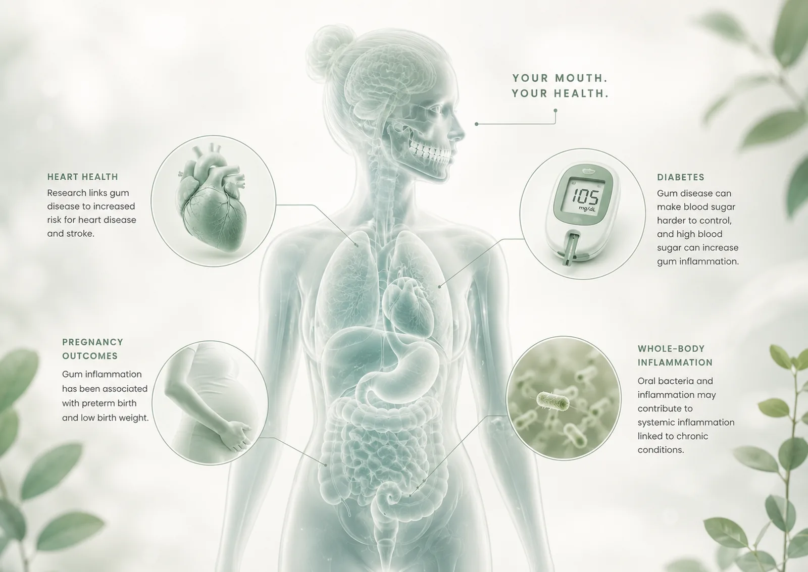 The mouth-body connection: how oral health relates to heart health, diabetes, pregnancy, and whole-body inflammation, at Green Dentistry: Root and Restore in Alexandria, VA
