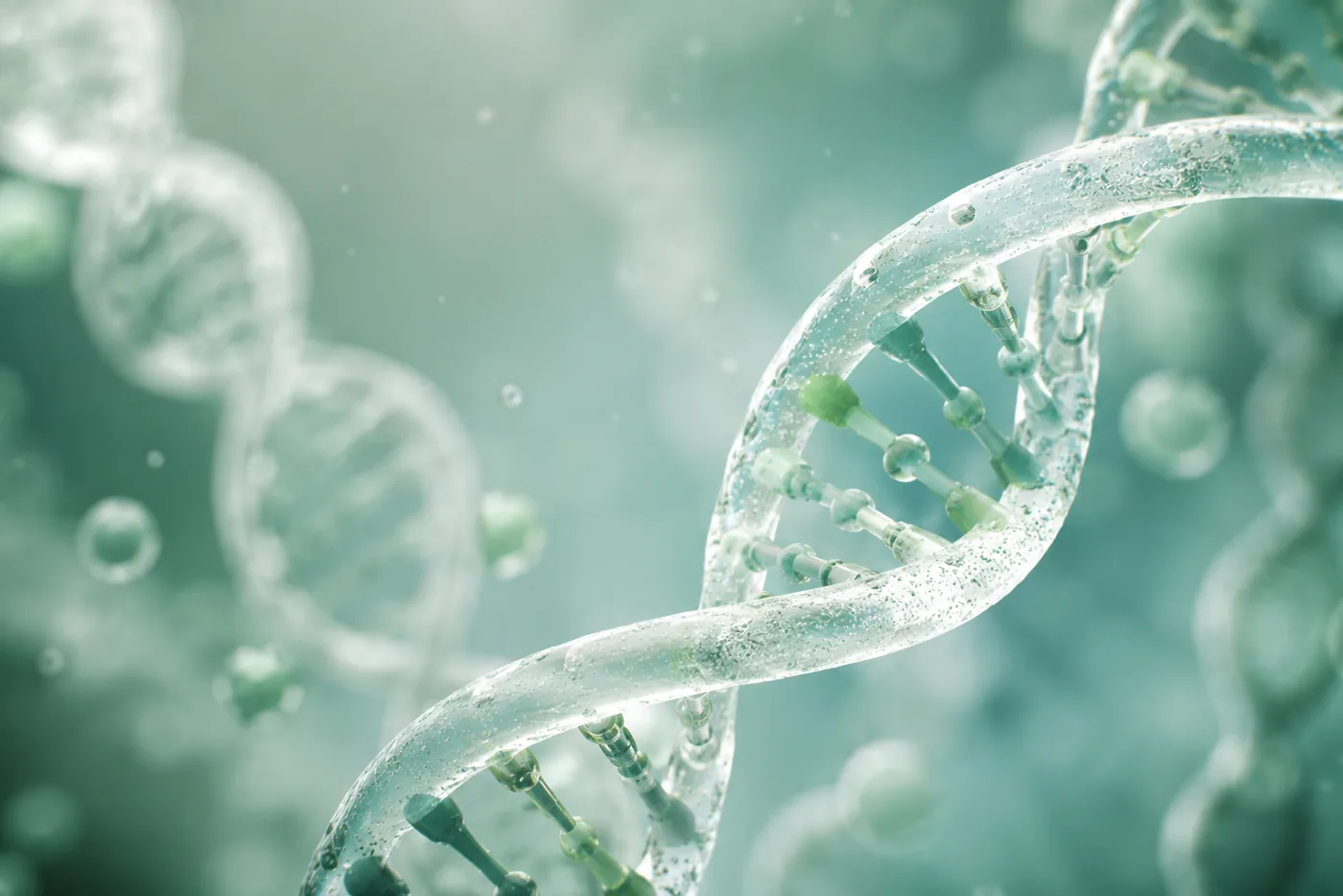 DNA analysis from oral salivary testing at Green Dentistry: Root and Restore in Alexandria, VA